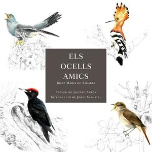 ELS OCELLS AMICS | 9788412949025 | DE SAGARRA, JOSEP MARIA | Llibreria Online de Banyoles | Comprar llibres en català i castellà online