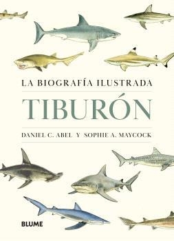 TIBURÓN | 9788410469853 | ABEL, DANIEL C./MAYCOCK, SOPHIE A. | Llibreria Online de Banyoles | Comprar llibres en català i castellà online