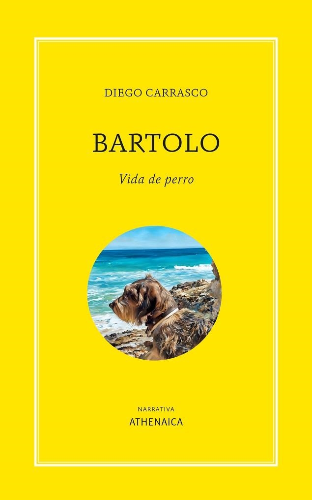BARTOLO. VIDA DE PERRO | 9788419874955 | CARRASCO, DIEGO | Llibreria L'Altell - Llibreria Online de Banyoles | Comprar llibres en català i castellà online - Llibreria de Girona