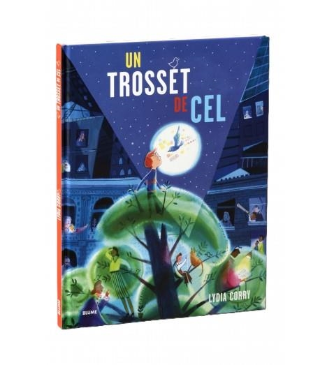 UN TROSSET DE CEL | 9791387881450 | CORRY, LYDIA | Llibreria Online de Banyoles | Comprar llibres en català i castellà online