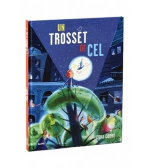 UN TROSSET DE CEL | 9791387881450 | CORRY, LYDIA | Llibreria Online de Banyoles | Comprar llibres en català i castellà online