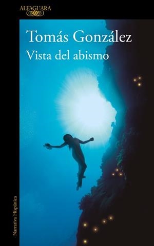 VISTA DEL ABISMO | 9788410299443 | GONZÁLEZ, TOMÁS | Llibreria Online de Banyoles | Comprar llibres en català i castellà online