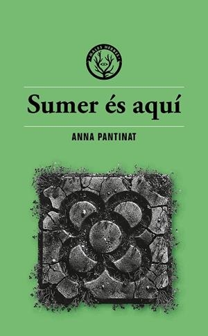 SUMER ÉS AQUÍ | 9791399014686 | ANNA PANTINAT | Llibreria Online de Banyoles | Comprar llibres en català i castellà online