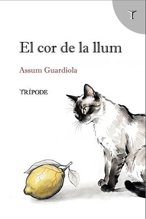 EL COR DE LA LLUM | 9791399090376 | GUARDIOLA, ASSUM | Llibreria Online de Banyoles | Comprar llibres en català i castellà online