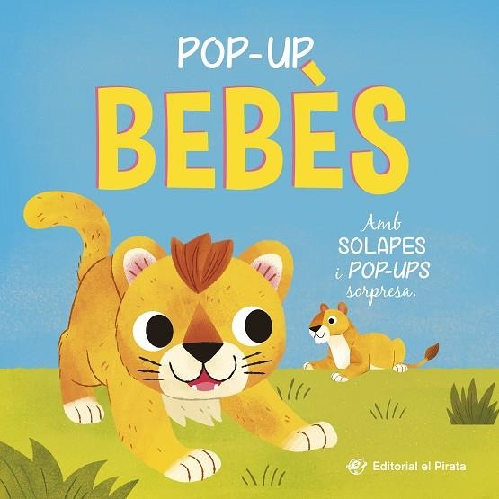 POP-UP BEBÈS - CONTE AMB SOLAPES I POP-UPS SORPRESA! | 9788419912527 | BLAKE, CARLY | Llibreria Online de Banyoles | Comprar llibres en català i castellà online