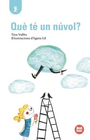 QUÈ TÉ UN NÚVOL? | 9791387594152 | VALLÈS, TINA | Llibreria Online de Banyoles | Comprar llibres en català i castellà online
