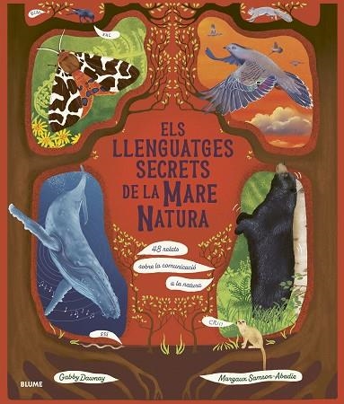 LLENGUATGES SECRETS DE LA MARE NATURA, ELS | 9788410469952 | DAWNAY, GABBY/SAMSON ABADIE, MARGAUX | Llibreria L'Altell - Llibreria Online de Banyoles | Comprar llibres en català i castellà online - Llibreria de Girona