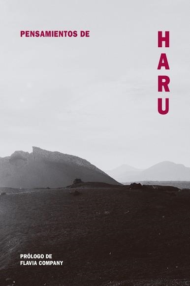 PENSAMIENTOS DE HARU | 9788418223495 | COMPANY, FLAVIA | Llibreria L'Altell - Llibreria Online de Banyoles | Comprar llibres en català i castellà online - Llibreria de Girona
