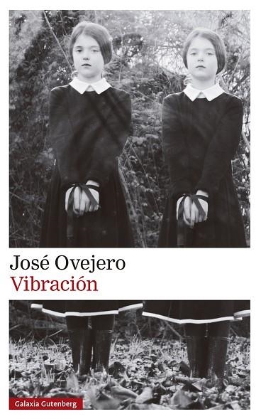 VIBRACIÓN | 9788419738615 | OVEJERO, JOSÉ | Llibreria Online de Banyoles | Comprar llibres en català i castellà online