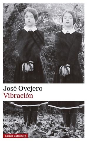 VIBRACIÓN | 9788419738615 | OVEJERO, JOSÉ | Llibreria Online de Banyoles | Comprar llibres en català i castellà online