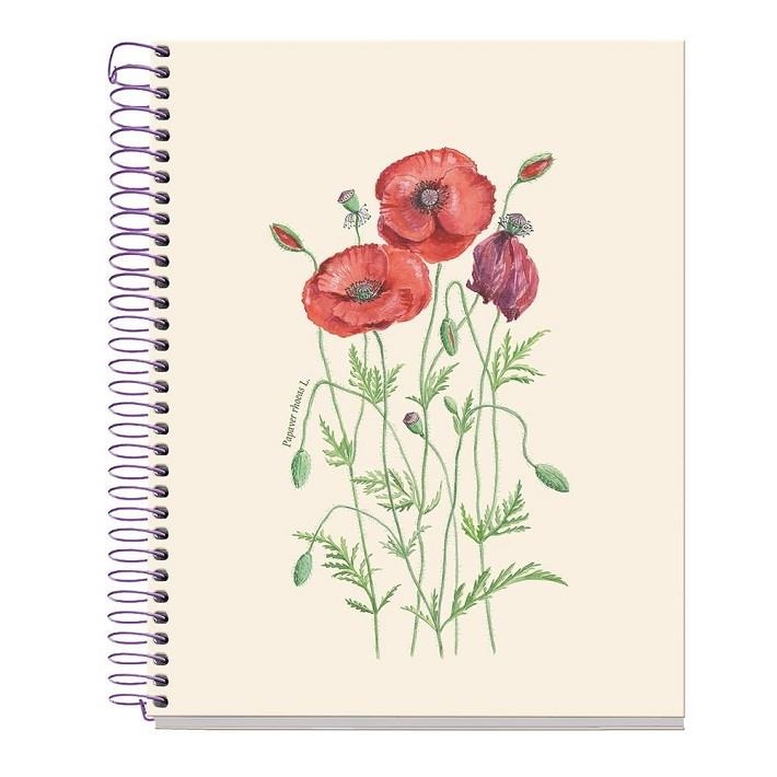 LLIBRETA A5 ENTREDOS ROSELLA | 8422593045053 | Llibreria Online de Banyoles | Comprar llibres en català i castellà online