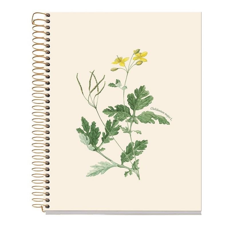 LLIBRETA A5 ENTREDOS HERBA D'ORENETES | 8422593045022 | Llibreria Online de Banyoles | Comprar llibres en català i castellà online