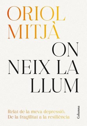 ON NEIX LA LLUM | 9788466434751 | MITJÀ, ORIOL | Llibreria L'Altell - Llibreria Online de Banyoles | Comprar llibres en català i castellà online - Llibreria de Girona