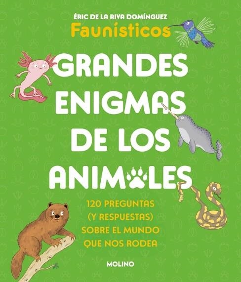 GRANDES ENIGMAS DE LOS ANIMALES (COLECCIÓN GRANDES ENIGMAS) | 9788427253698 | DE LA RIVA DOMÍNGUEZ (FAUNÍSTICOS), ÉRIC | Llibreria Online de Banyoles | Comprar llibres en català i castellà online
