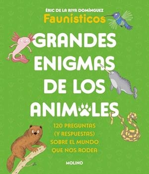 GRANDES ENIGMAS DE LOS ANIMALES (COLECCIÓN GRANDES ENIGMAS) | 9788427253698 | DE LA RIVA DOMÍNGUEZ (FAUNÍSTICOS), ÉRIC | Llibreria Online de Banyoles | Comprar llibres en català i castellà online