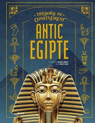 TRESORS CONEIXEMENTS. ANTIC EGIPTE | 9791387881221 | NOBATI, EUGENIA/STEELE, PHILIP | Llibreria Online de Banyoles | Comprar llibres en català i castellà online