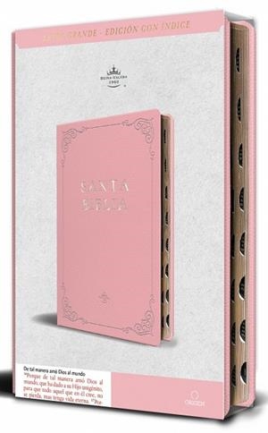 BÍBLIA REINA VALERA 1960 SIMIL PIEL ROSADA TAMAÑO MANUAL NOMBRES DE DIOS | 9798890982131 | REINA VALERA, REVISADA | Llibreria Online de Banyoles | Comprar llibres en català i castellà online