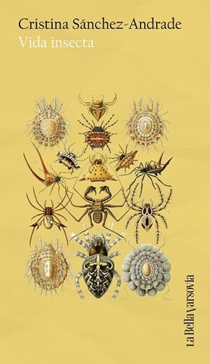 VIDA INSECTA | 9788433949653 | SÁNCHEZ-ANDRADE, CRISTINA | Llibreria Online de Banyoles | Comprar llibres en català i castellà online