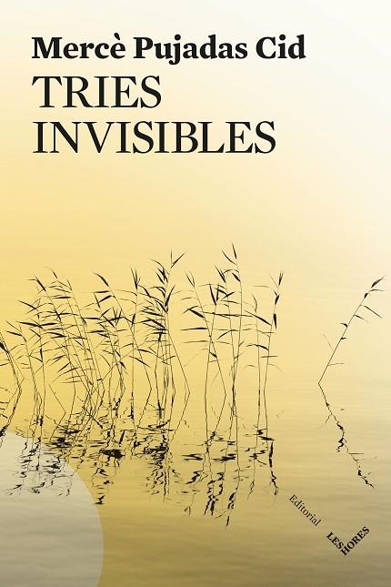 TRIES INVISIBLES | 9791399072150 | PUJADAS CID, MERCÈ | Llibreria L'Altell - Llibreria Online de Banyoles | Comprar llibres en català i castellà online - Llibreria de Girona