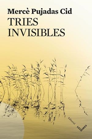 TRIES INVISIBLES | 9791399072150 | PUJADAS CID, MERCÈ | Llibreria L'Altell - Llibreria Online de Banyoles | Comprar llibres en català i castellà online - Llibreria de Girona