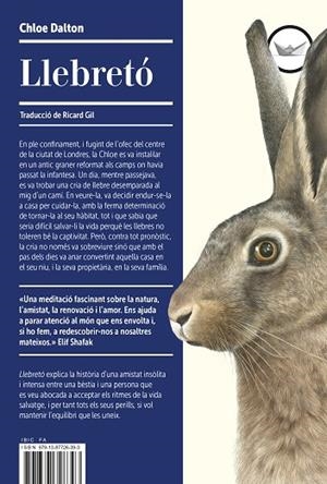 LLEBRETÓ | 9791387726393 | DALTON, CHLOE | Llibreria Online de Banyoles | Comprar llibres en català i castellà online