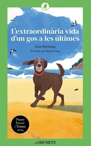 L'EXTRAORDINÀRIA VIDA D'UN GOS A LES ÚLTIMES | 9788424677893 | BERLANGA SARRASECA, JOAN | Llibreria Online de Banyoles | Comprar llibres en català i castellà online