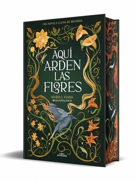 AQUÍ ARDEN LAS FLORES | 9791387741662 | @AIGUADVALENCIA | Llibreria Online de Banyoles | Comprar llibres en català i castellà online