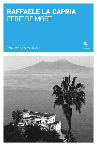 FERIT DE MORT | 9791399140989 | LA CAPRIA, RAFFAELE | Llibreria Online de Banyoles | Comprar llibres en català i castellà online