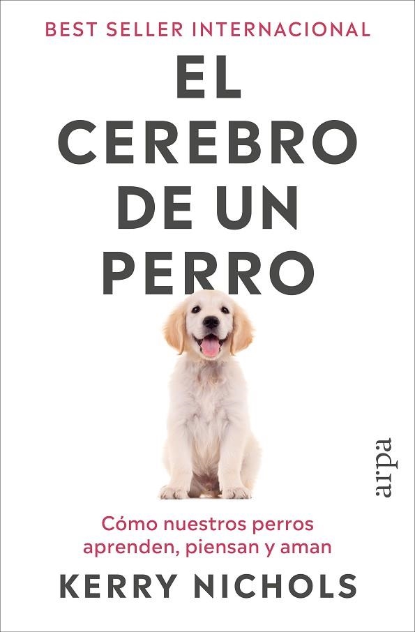 EL CEREBRO DE UN PERRO | 9791387833916 | NICHOLS, KERRY | Llibreria L'Altell - Llibreria Online de Banyoles | Comprar llibres en català i castellà online - Llibreria de Girona