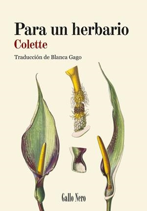PARA UN HERBARIO | 9788419168887 | COLETTE, SIDONIE-GABRIELLE | Llibreria Online de Banyoles | Comprar llibres en català i castellà online