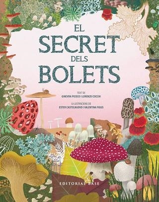SECRET DELS BOLETS, EL | 9791387728502 | PICOCO, GINEVRA/COCCHI, LORENZO | Llibreria Online de Banyoles | Comprar llibres en català i castellà online