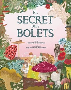 SECRET DELS BOLETS, EL | 9791387728502 | PICOCO, GINEVRA/COCCHI, LORENZO | Llibreria Online de Banyoles | Comprar llibres en català i castellà online