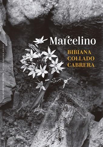 MARCELINO | 9788410476431 | COLLADO CABRERA, BIBIANA | Llibreria Online de Banyoles | Comprar llibres en català i castellà online