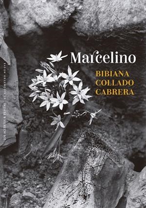 MARCELINO | 9788410476431 | COLLADO CABRERA, BIBIANA | Llibreria Online de Banyoles | Comprar llibres en català i castellà online
