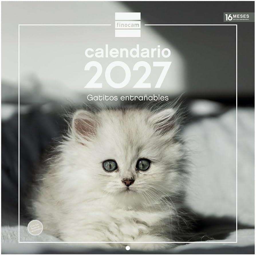 CALENDARI PARET 30X30 2027 GATETS ENTRENYABLES (CATALÀ) | 8422952424864 | Llibreria Online de Banyoles | Comprar llibres en català i castellà online
