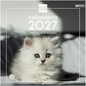 CALENDARI PARET 30X30 2027 GATETS ENTRENYABLES (CATALÀ) | 8422952424864 | Llibreria Online de Banyoles | Comprar llibres en català i castellà online