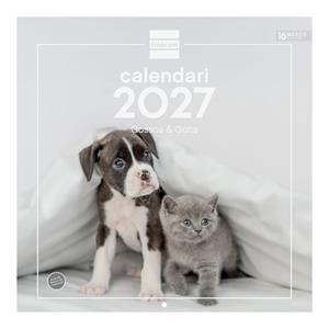 CALENDARI PARET 30X30 2027 GOSSOS I GATS (CATALÀ) | 8422952424857 | Llibreria Online de Banyoles | Comprar llibres en català i castellà online