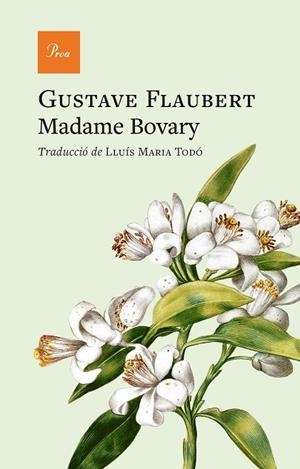MADAME BOVARY | 9791388369070 | FLAUBERT, GUSTAVE | Llibreria Online de Banyoles | Comprar llibres en català i castellà online