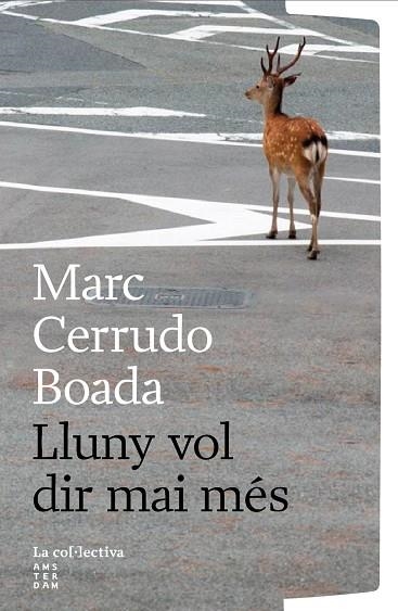LLUNY VOL DIR MAI MÉS | 9791387800260 | CERRUDO BOADA, MARC | Llibreria Online de Banyoles | Comprar llibres en català i castellà online
