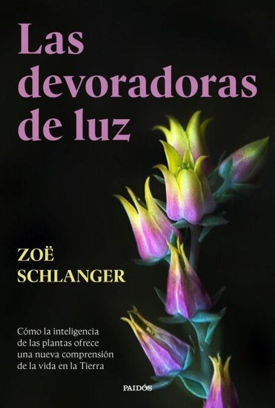 DEVORADORAS DE LUZ, LAS | 9788449343759 | SCHLANGER, ZOE | Llibreria Online de Banyoles | Comprar llibres en català i castellà online