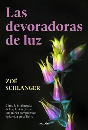 DEVORADORAS DE LUZ, LAS | 9788449343759 | SCHLANGER, ZOE | Llibreria Online de Banyoles | Comprar llibres en català i castellà online