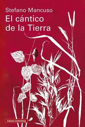 EL CÁNTICO DE LA TIERRA | 9791388019845 | MANCUSO, STEFANO | Llibreria L'Altell - Llibreria Online de Banyoles | Comprar llibres en català i castellà online - Llibreria de Girona