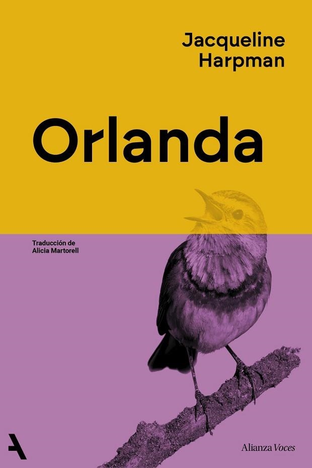 ORLANDA | 9791370093020 | HARPMAN, JACQUELINE | Llibreria Online de Banyoles | Comprar llibres en català i castellà online