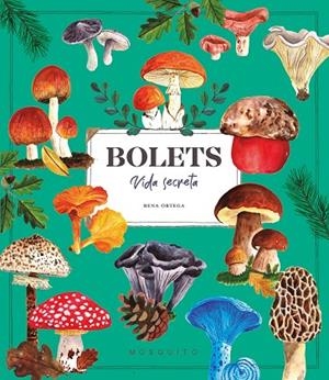 BOLETS. VIDA SECRETA | 9788410417687 | ORTEGA, RENA | Llibreria L'Altell - Llibreria Online de Banyoles | Comprar llibres en català i castellà online - Llibreria de Girona