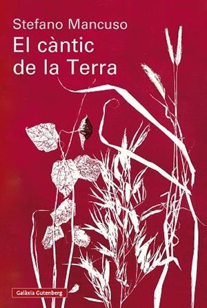 CÀNTIC DE LA TERRA, EL | 9791388019852 | MANCUSO, STEFANO | Llibreria Online de Banyoles | Comprar llibres en català i castellà online