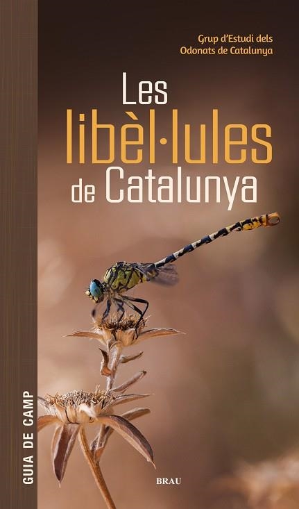 LIBÈL·LULES DE CATALUNYA, LES | 9791387701178 | GRUP D'ESTUDIS DELS ODONATS DE CATALUNYA | Llibreria Online de Banyoles | Comprar llibres en català i castellà online