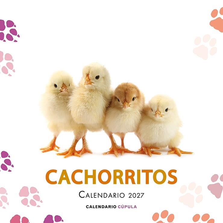 CALENDARIO CACHORRITOS 2027 | 9788448049317 | AA. VV. | Llibreria L'Altell - Llibreria Online de Banyoles | Comprar llibres en català i castellà online - Llibreria de Girona