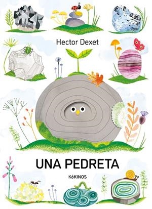 PEDRETA, UNA | 9791387686413 | DEXET, HECTOR | Llibreria Online de Banyoles | Comprar llibres en català i castellà online