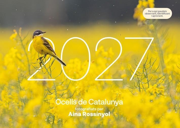 OCELLS DE CATALUNYA | 9781901175202 | AINA ROSSINYOL | Llibreria Online de Banyoles | Comprar llibres en català i castellà online
