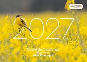 OCELLS DE CATALUNYA | 9781901175202 | AINA ROSSINYOL | Llibreria Online de Banyoles | Comprar llibres en català i castellà online
